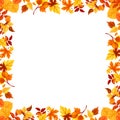 Vector colorful autumn leaves frame. Royalty Free Stock Photo