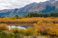 Colorful autumn leaves at Glenorchy lake , New Zealand Royalty Free Stock Photo