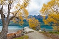 Colorful autumn leaves at Glenorchy lake , New Zealand