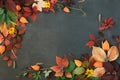 Colorful autumn leaves on a grey stone. Framing message area, free space, chalk board