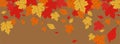 Colorful autumn leaves illustration for Facebook Cover