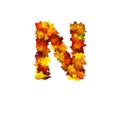 Colorful autumn leaves isolated on white background as letter N