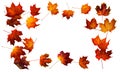 Colorful autumn leaves isolated on white background. Border frame of maple leaves Royalty Free Stock Photo