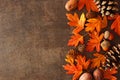 Colorful autumn leaves, nuts and pine cone side border over a rustic dark background