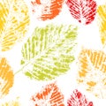 Colorful autumn leaves prints on white seamless pattern, vector