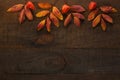 Colorful autumn leaves of Rowan and  fruit of  Physalis on the dark wooden table. Autumn composition Royalty Free Stock Photo