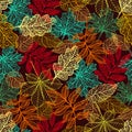 Colorful autumn leaves