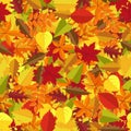 Colorful Autumn leaves seamless pattern background. Season holidays decoration, wrapping paper, textile print, generic Royalty Free Stock Photo