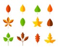 Colorful autumn leaves set. Cartoon leaf in flat style. Autumn herbarium. Collection of hand drawn fallen leaves. Set of Royalty Free Stock Photo