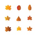 Colorful autumn leaves set, isolated on white background. vector illustration Royalty Free Stock Photo