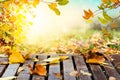 Colorful autumn leaves sunset background Royalty Free Stock Photo