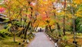 Colorful autumn leaves and walk way in park, Kyoto in Japan. Photographer take a photo in autumn