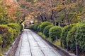 Colorful autumn leaves on walking path in a park Royalty Free Stock Photo