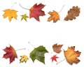 Colorful autumn leaves on white background. Fall season backdrop.Foliage border Royalty Free Stock Photo