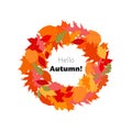 Colorful autumn leaves wreath, web template for sale campaign, greeting card. Isolated on white background. Stock vector Royalty Free Stock Photo