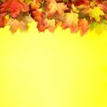Colorful autumn leaves on yellow paper with copy space. Cozy fall mood. Season and weather concept. Autumn background Royalty Free Stock Photo