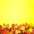 Colorful autumn leaves on yellow paper with copy space. Cozy fall mood. Season and weather concept. Autumn background Royalty Free Stock Photo