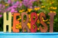 Colorful autumn letters made of wood