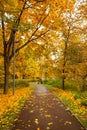 Colorful Autumn With Listopad In Park Royalty Free Stock Photo