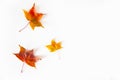 Autumn background with red, yellow, orange maple leaves Royalty Free Stock Photo