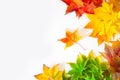 Autumn background with red, yellow, orange maple leaves Royalty Free Stock Photo