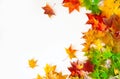 Autumn background with red, yellow, orange maple leaves Royalty Free Stock Photo