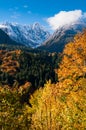 Colorful autumn in the montains