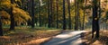 Colorful autumn morning in a city park. Panoramic view with trees, yellow-orange foliage, park asphalt path and side sunlight and Royalty Free Stock Photo