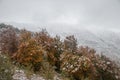 Colorful autumn in the mountains. First snow in october