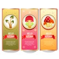 Colorful autumn mushroom banner collection