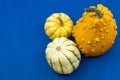 Colorful autumn ornamental gourds on blue