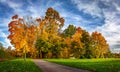 Colorful autumn park in sunny bright day. Beautiful autumn landscape with yellow and red trees. Scenery colored nature. Royalty Free Stock Photo