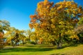 Colorful Autumn in Park, Toronto, Canada