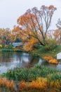 Colorful autumn park. Autumn trees with yellow leaves in the autumn park