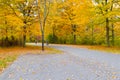 Colorful autumn in park