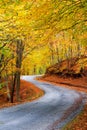 Colorful autumn path Royalty Free Stock Photo