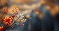 Colorful autumn plants background, brown,yellow orange fall colored with blurred background. Trees Leaves in vintage Royalty Free Stock Photo