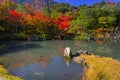 Colorful autumn at the pond near Arashiyama