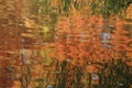 Colorful autumn reflection Royalty Free Stock Photo