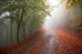 Colorful autumn road Royalty Free Stock Photo