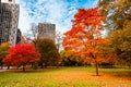 Colorful Autumn Scene in Lincoln Park Chicago Royalty Free Stock Photo