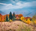 Colorful autumn scene of mountain valley. Amazing morning view of Carpathian mountains, Kvasy village location, Ukraine, Europe. B