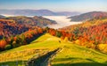 Colorful autumn scenery in the Carpathian mountains