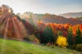 Colorful autumn scenery in the Carpathian mountains at sunrise, Ukraine