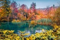 Splendid morning view of pure water waterfall in Plitvice National Park. Royalty Free Stock Photo