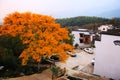 Colorful Autumn scenery in Tachuan