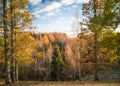 Colorful autumn scenery with trees down the walley Royalty Free Stock Photo