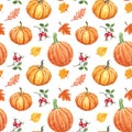 Colorful autumn seamless pattern. Watercolor hand painted pumkins, orange, red and yellow leaves and berries on white background Royalty Free Stock Photo