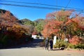 Colorful Autumn Season and Mountain Fuji at lake Kawaguchiko Japan