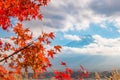 Colorful autumn season & Mountain Fuji in morning fog and red leaves at lake Kawaguchiko, Japan.Mountain Fuji with colorful red ma Royalty Free Stock Photo